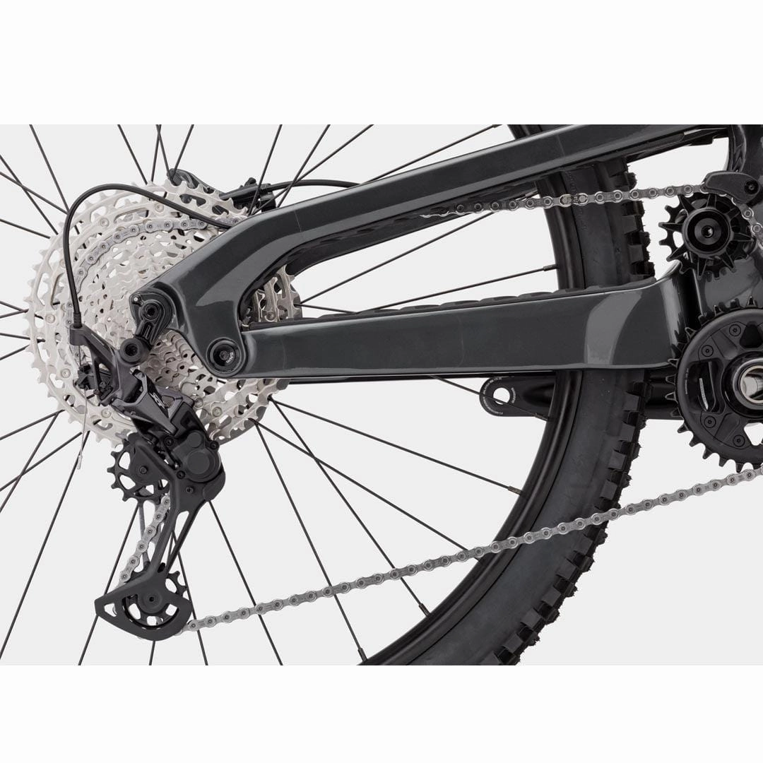 Cannondale Jekyll 2 29"
