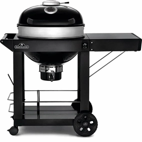Napoleon Professional 22" Charcoal Kettle Grill with Cart in Black