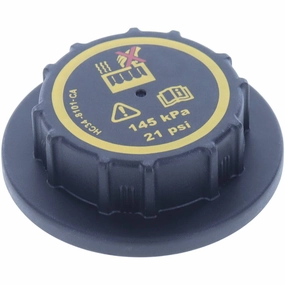 T113 Radiator Cap